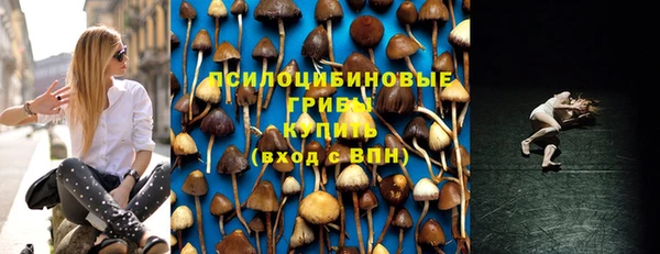 гидропоника Верея